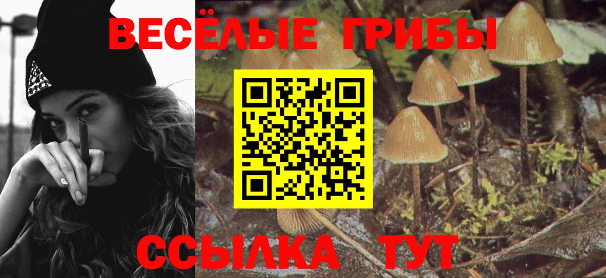Балабаново  Галлюциногенные грибы Cubensis  Вход с VPN  Галлюциногенные грибы мицелий 